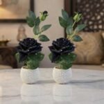 Artificial black rose plant set of 2 in decorative white pots for table and home decor.