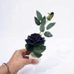 Artificial black rose plant in decorative white pots for table and home décor